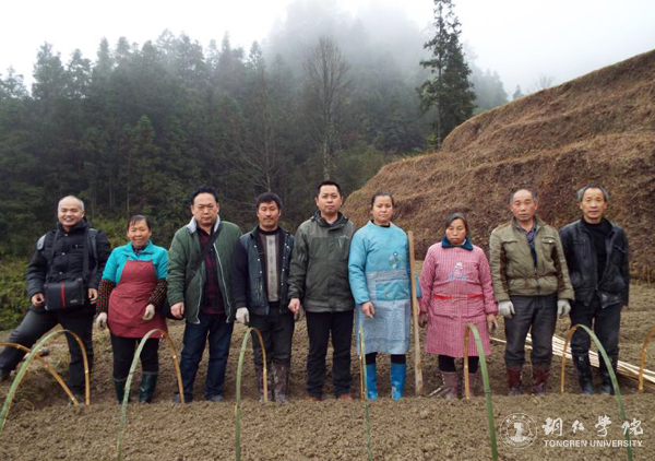 世界杯官网高健强副教授研究成果“燕飞1号”土人参实现规模化生产