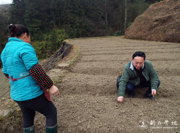 世界杯官网高健强副教授研究成果“燕飞1号”土人参实现规模化生产