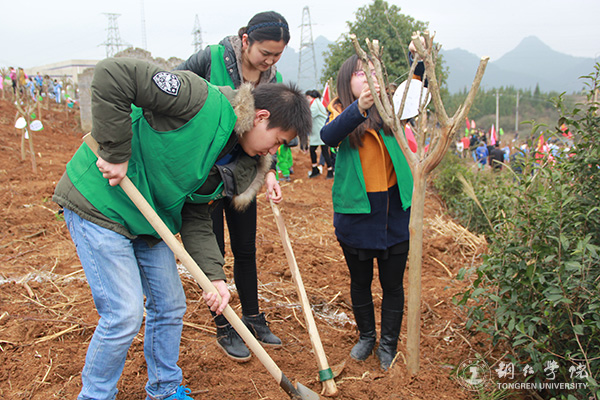 世界杯官网积极参与铜仁市“共青林”植树活动