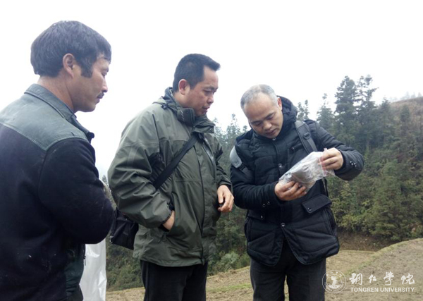 世界杯官网高健强副教授研究成果“燕飞1号”土人参实现规模化生产