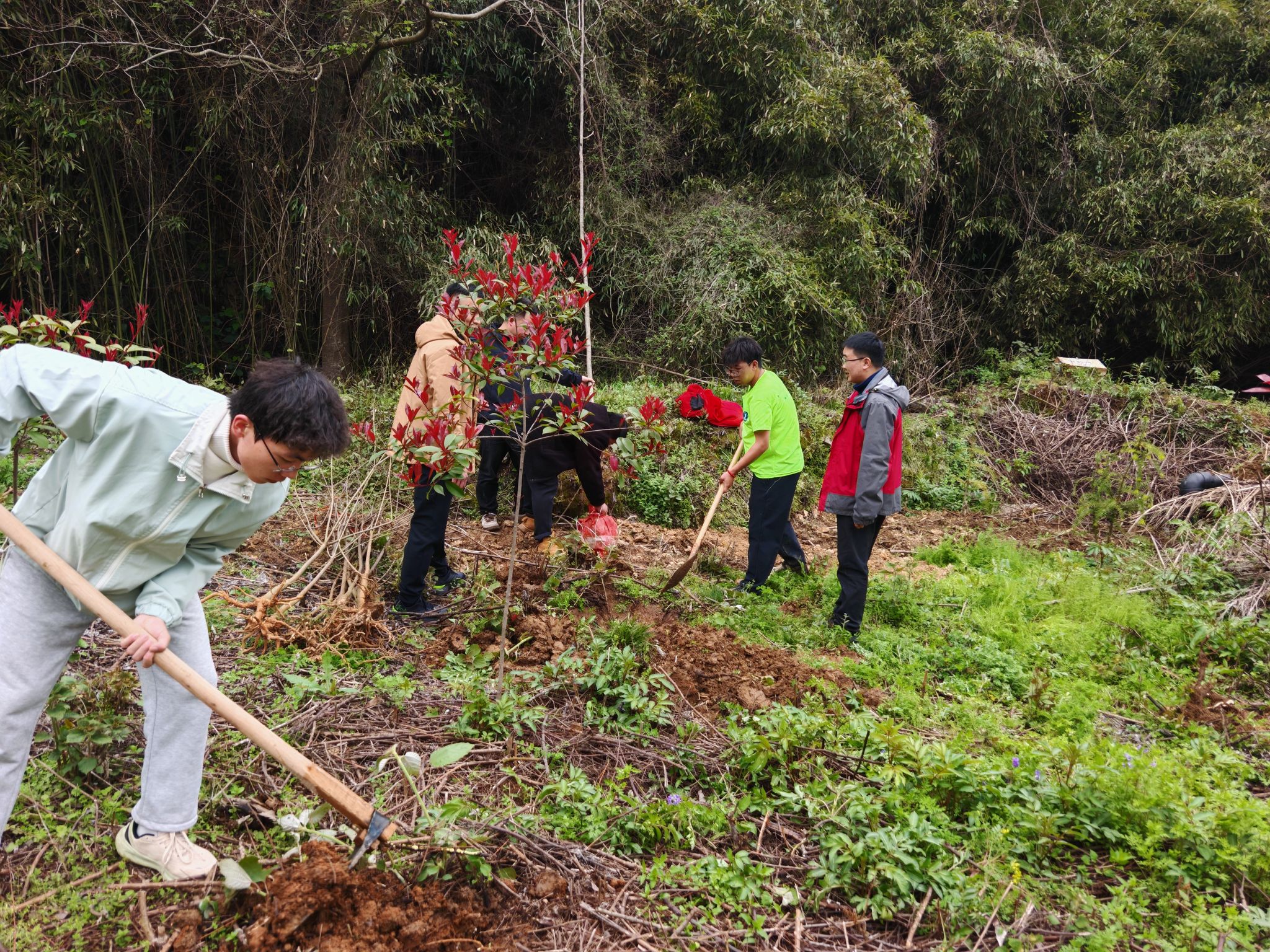 爱心苗木添新绿 校企携手美校园