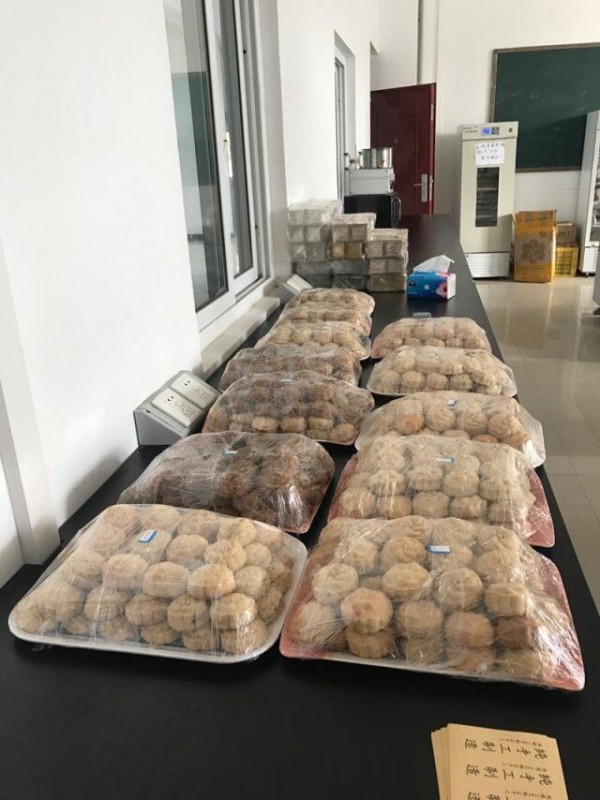等待包装的月饼.jpg