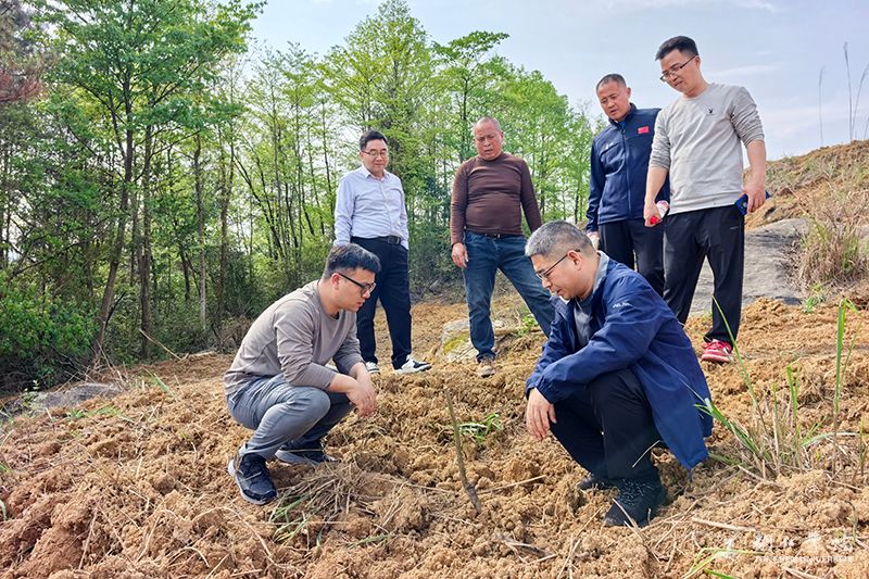 副校长潘学军赴乡村振兴联系点调研