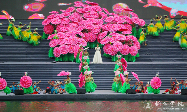 世界杯官网2000余名学生在2017年“大明边城杯”龙舟赛开幕式上大放异彩