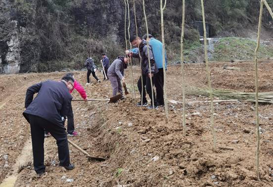 说明: IMG_20210312_094431