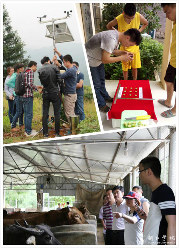 美加墨世界杯官方网站2016年“十大热词”