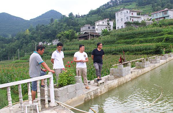 服务团实地考察村民的鱼类养殖并进行指导.jpg