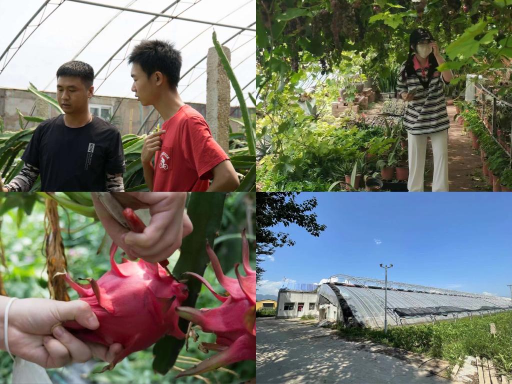 20220905-青春献礼二十大 “五学”凝聚铸“五心”5.jpg 20220905-青春献礼二十大 “五学”凝聚铸“五心”5.jpg