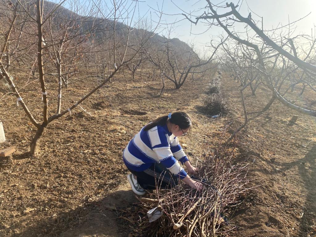 20220213-王宝文同学在家乡果园中劳动.png