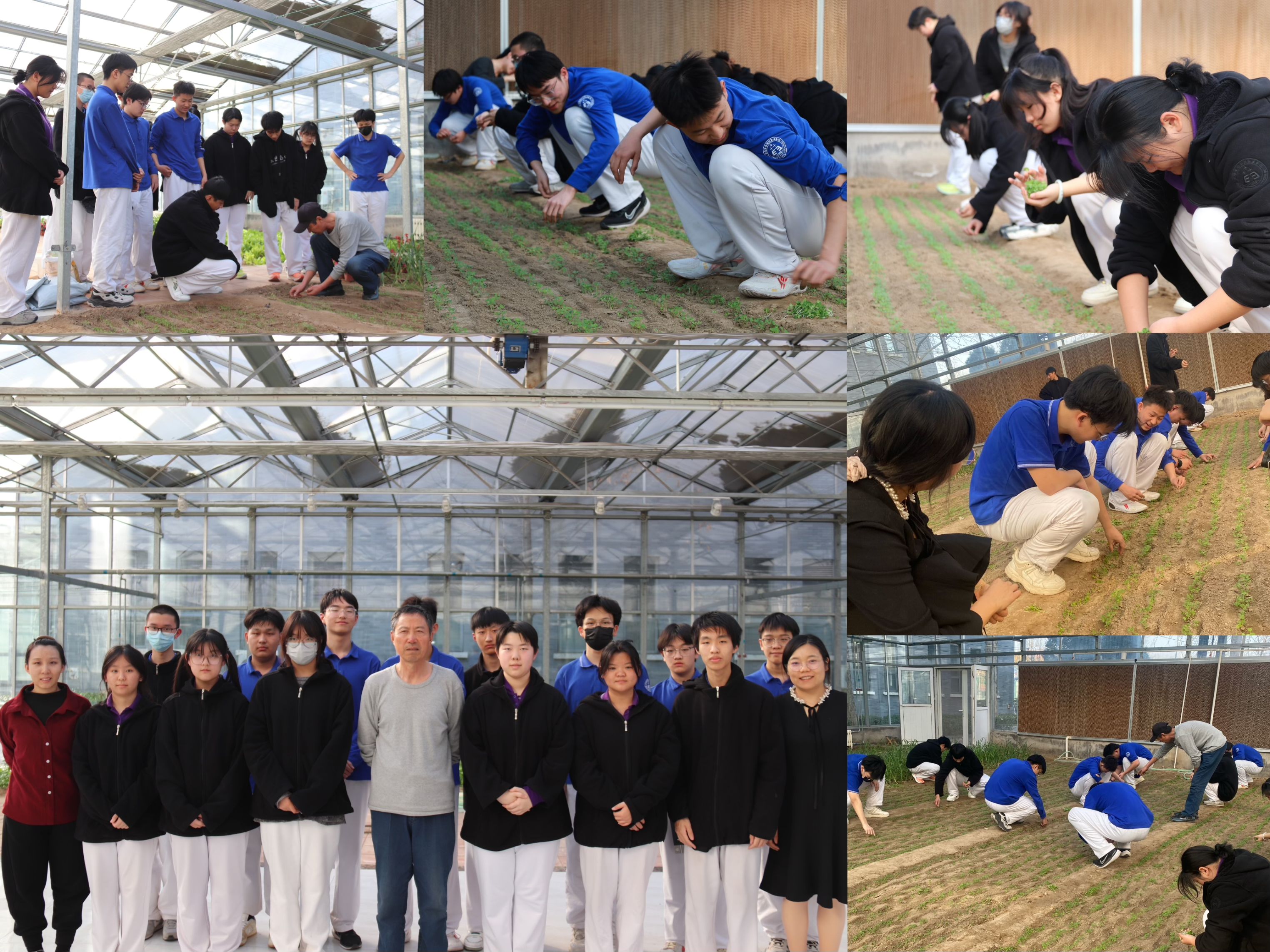 微信图片_20240314223942.jpg 微信图片_20240314223942.jpg