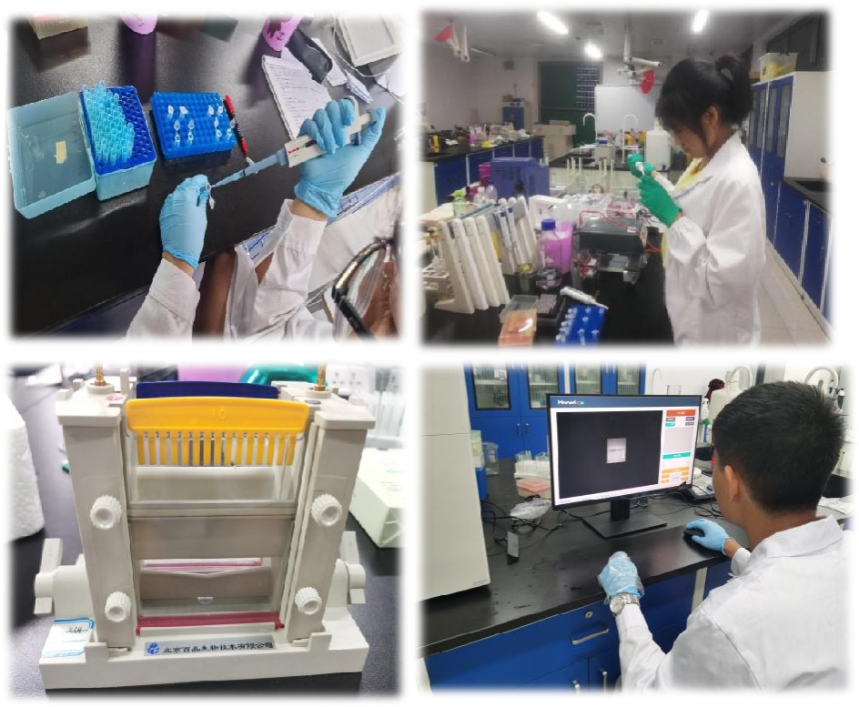 图片2-实验照片.png 图片2-实验照片.png