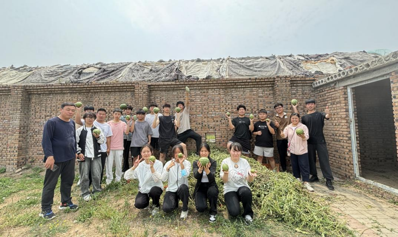 图片3.png 图片3.png