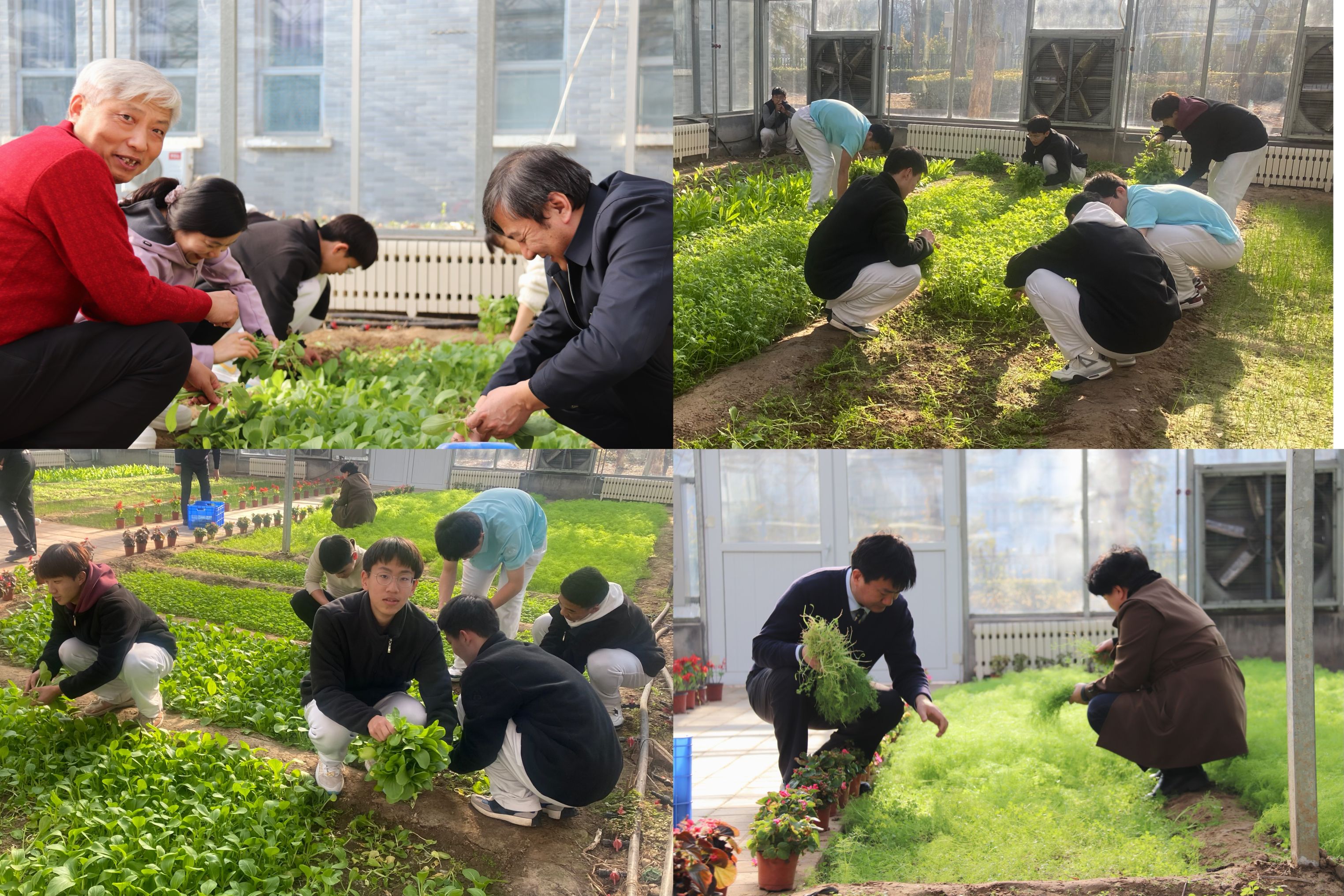 微信图片_20240112130814.jpg 微信图片_20240112130814.jpg